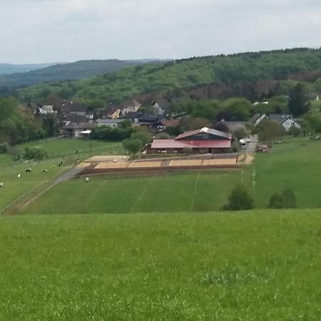 Schoenes Appartement " Die Ponybude" Auf Unserem Reiterhof Birkenbeul Kültér fotó