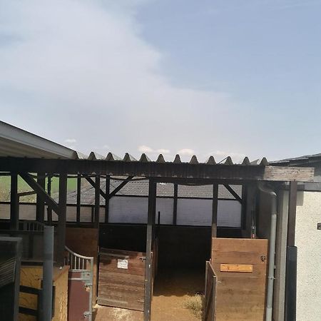 Schoenes Appartement " Die Ponybude" Auf Unserem Reiterhof Birkenbeul Kültér fotó