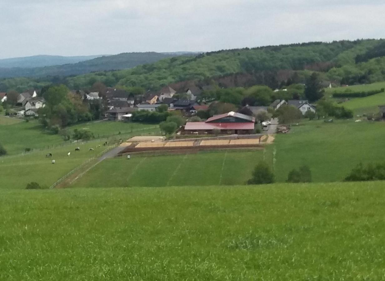 Schoenes Appartement " Die Ponybude" Auf Unserem Reiterhof Birkenbeul Kültér fotó