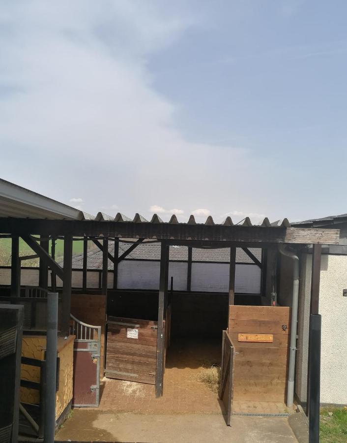 Schoenes Appartement " Die Ponybude" Auf Unserem Reiterhof Birkenbeul Kültér fotó